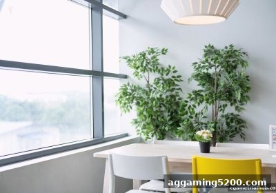 电子游戏试玩导航：心理暗示的艺术，从桌游博弈到LOL博彩策略