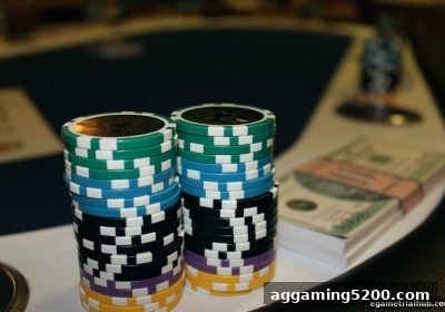 电子游戏试玩导航 | 3D数字游戏聚会全攻略：从入门到社交达人