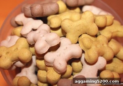 新疆时时彩每月返水活动操作指南｜电子游戏试玩导航深度解读