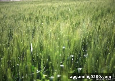 电子游戏试玩导航详解ERC20充值：新手优惠全攻略
