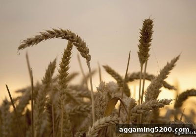 首存返利活动全攻略：电子游戏试玩导航教你玩转捕鱼炮台与返利技巧