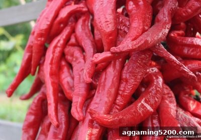 免实名环境下保持专注力：电子游戏试玩导航教你玩转真人桌游冷静法则